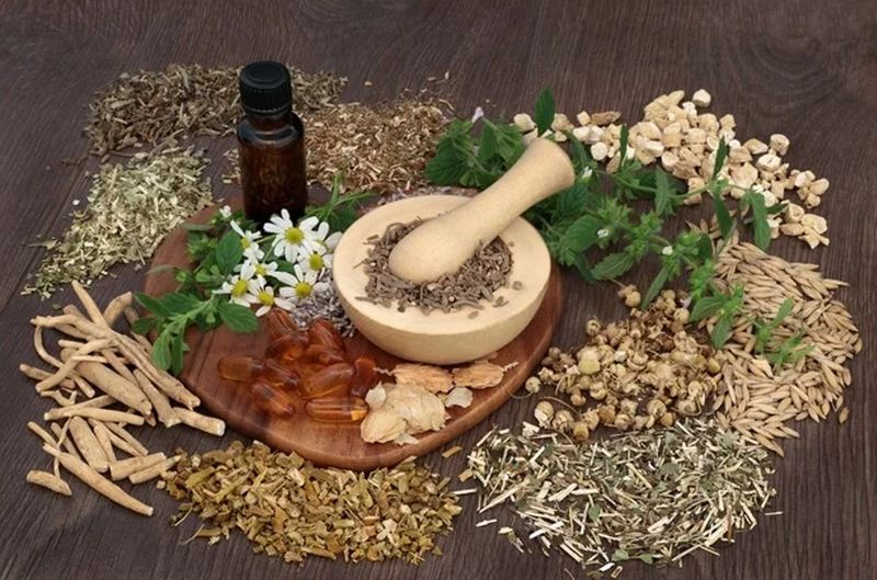 Herbal valley landscape